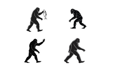 Evolution of Man