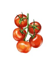 Fresh red tomatoes hanging on a green vine showcasing natural ripeness and vibrant color © Iryna