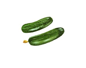 Fresh cucumbers on a clean background highlighting their texture and color in a simple composition