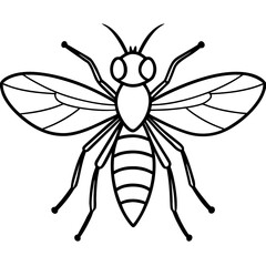 Gnat line art vector