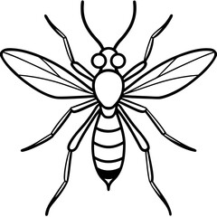 Gnat line art vector