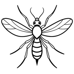 Gnat line art vector
