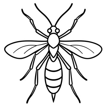 black and white wasp outline clip art preview