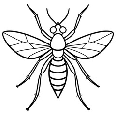 Gnat line art vector