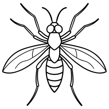 black and white wasp outline clip art preview