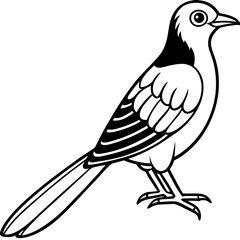 Cuckoo line art vector