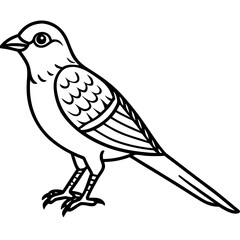 Cuckoo line art vector