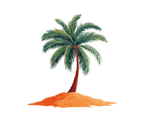 Obraz premium Palm tree on sandy beach for summer vacation design and relaxation. Cut out PNG