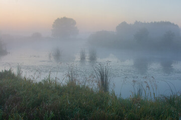 Fototapeta premium thick fog over the lake in the meadows