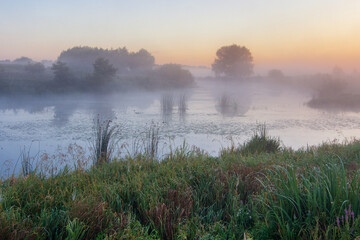 Fototapeta premium morning mist over the river with willows