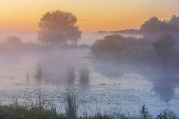 Fototapeta premium misty morning on the river around city