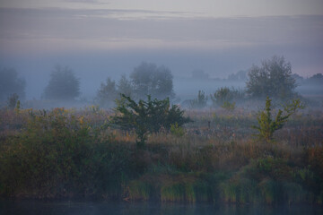 morning mist over the meadow