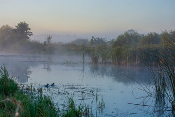 fog on the river