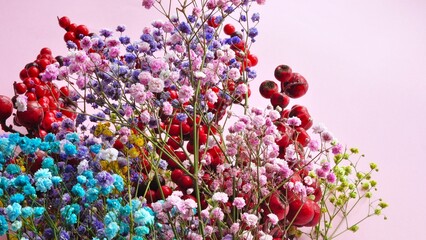 Gypsophila flowers in one bunch on a monochrome background. Bouquet of colorful gypsophila. Plenty...