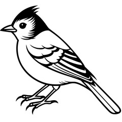 Kinglet line art vector