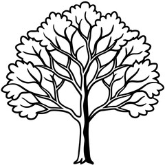 Obraz premium Eastern Redbud line art vector