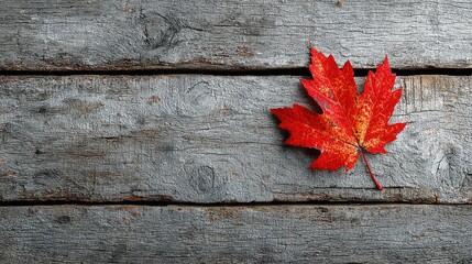 Obraz premium Red maple leaf on weathered wood planks
