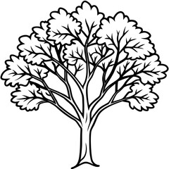 Obraz premium Eastern Redbud line art vector