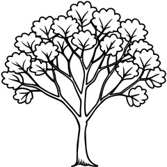 Obraz premium Eastern Redbud line art vector