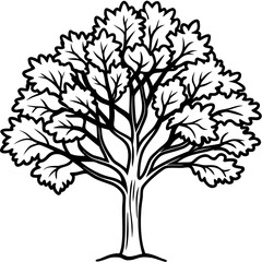 Obraz premium Eastern Redbud line art vector