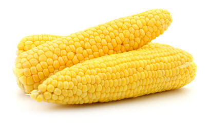 Fresh sweet corn cobs isolated on white background, close-up macro view