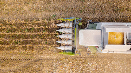 Fototapeta premium Aerial view on combine, harvester machine, harvest ripe maize