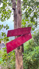 empty red wooden sign attached to tree trunk in forest for background, copy space