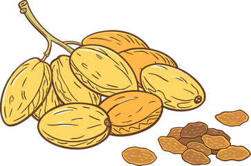 Realistic Raisins on Stem Illustration. Fresh Raisins Cluster Artwork. Raisins with Stalk Realistic Design. Organic Raisins Stick Illustration. Dried Grapes on Stem Artwork. Natural Raisins Cluster