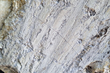 Textured Stone Surface for Natural Background and Design Inspiration