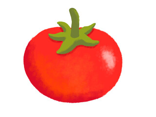 Red tomato illustration png
