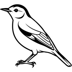 Nuthatch line art vector