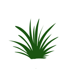 Simple green grass vector illustration