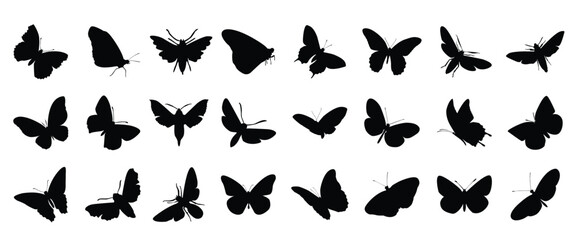Set of butterfly silhouette vector butterflies moth