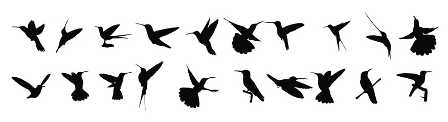 hummingbird silhouettes vector illustration set
