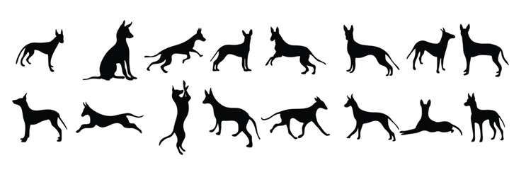 pharaoh hunting dog silhouette vector illustration collection