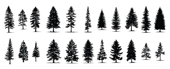set of silhouettes of trees. pine trees isolated images. spruce tree illustration for winter christmas.