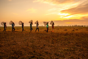 Pabna, Bangladesh - 30 November 2024: View of a line of fishermen silhouetted against the rising sun, their traditional fishing tools casting shadows on the golden field.