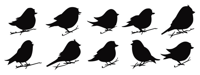 vector set of bird silhouette in flat style various style
