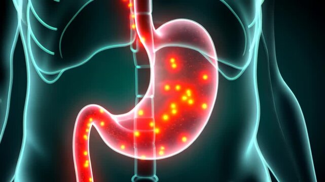 gallbladder, gallstones treatment, bile flow. Organ health. Ducts convey secreted digestive juices. Gallbladder removal stops pain symptoms. Biliary operation enhances digestion efficiency.