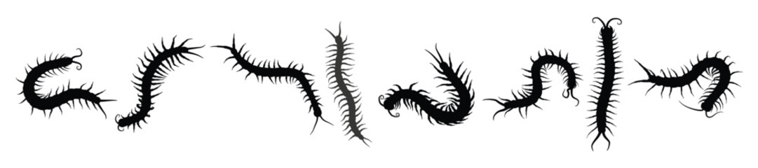 centipede silhouettes illustration set