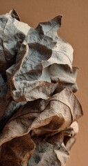 Dried leaves, abstract,  muted tones