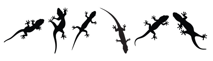 wall lizard silhouette vector illustration set © Zalfa