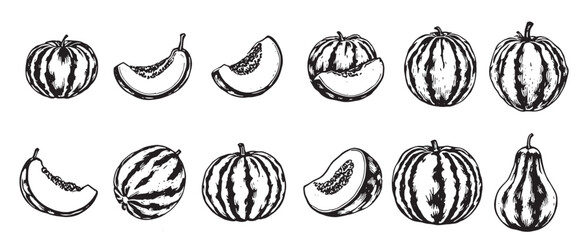 watermelon melon pears and other fruits in black and white