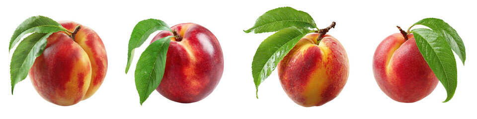 Fototapeta premium Fresh and Juicy Nectarines with Leaves on a Transparent Background