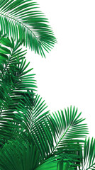 Fototapeta premium Lush tropical leaves fill the frame, vibrant green