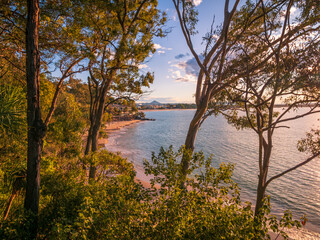Noosa Through the Trees Across the Sea