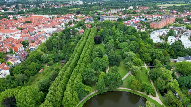 Aerial view of lush green trees contrasting with the red-tiled roofs of the buildings in the city, creating a vibrant landscape, Celle, Lower Saxony, Germany.