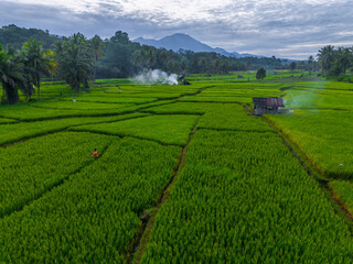 Fototapeta premium Beautiful morning view indonesia panorama landscape forest with beauty color and sky natural light