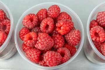 Freshly picked raspberries in clear cups at the market. Delightful moments captured with luscious raspberries for a perfect picnic. A summer celebration with vibrant raspberries bursting with flavor.
