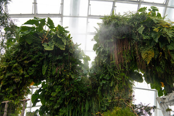 General view from indoor greenhouse garden by the bay in Singapore